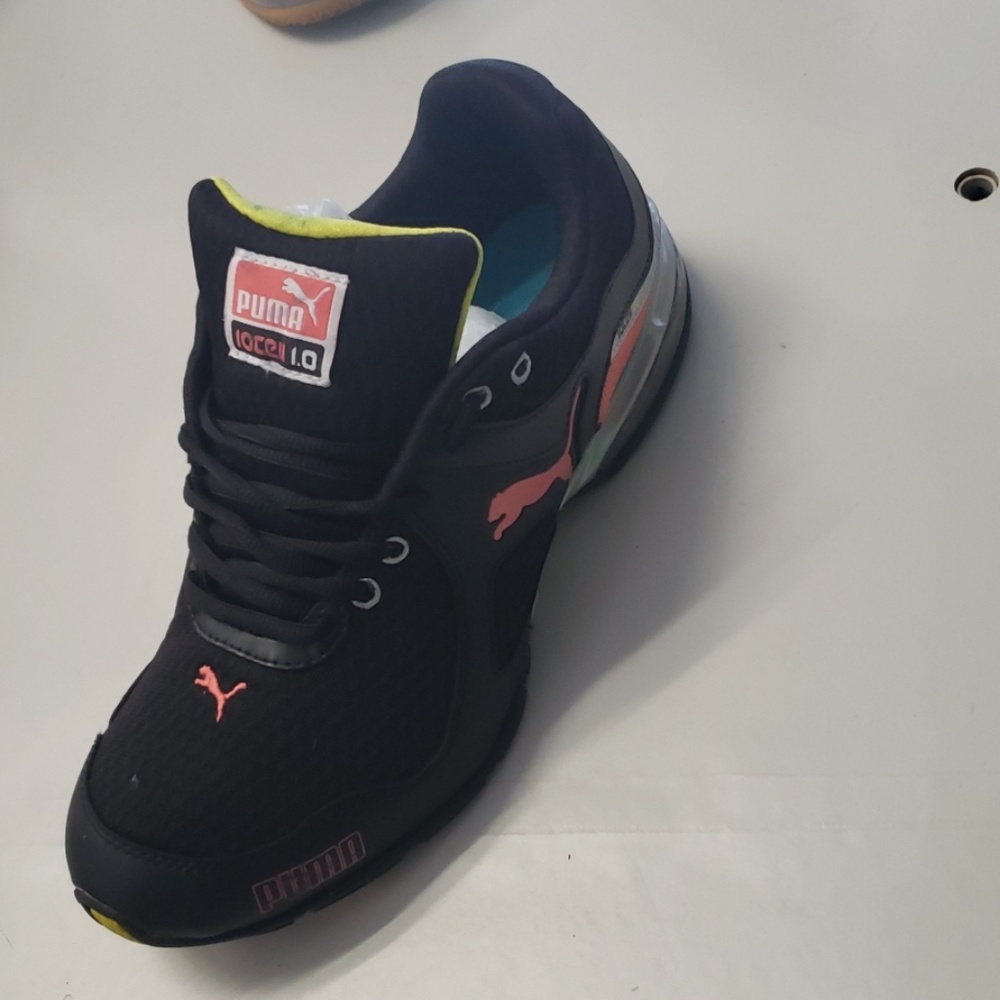 Pumas